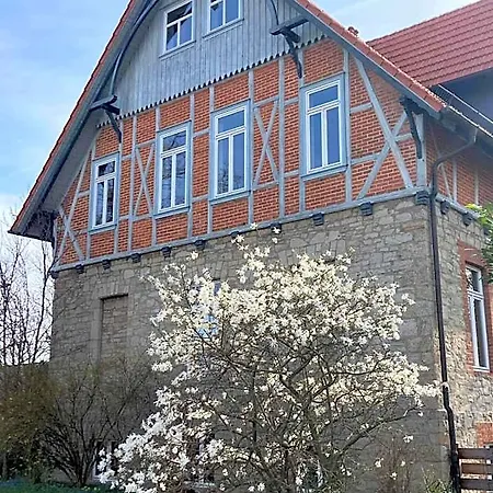 Hotel Gaestehaus Musestieg Thale